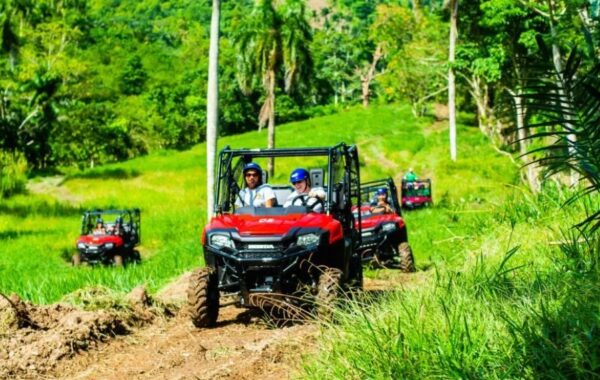 Buggy o ATV en ruta de café